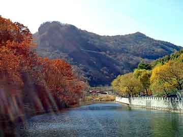 新澳门期期准精准，都市神尊